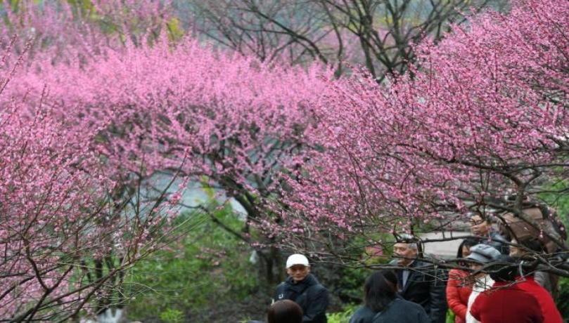 如何防止和缓解花粉过敏症状？医生教你几招